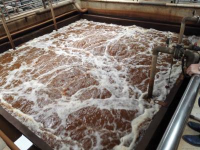 Introduction to slaughtering wastewater and common treatment methods