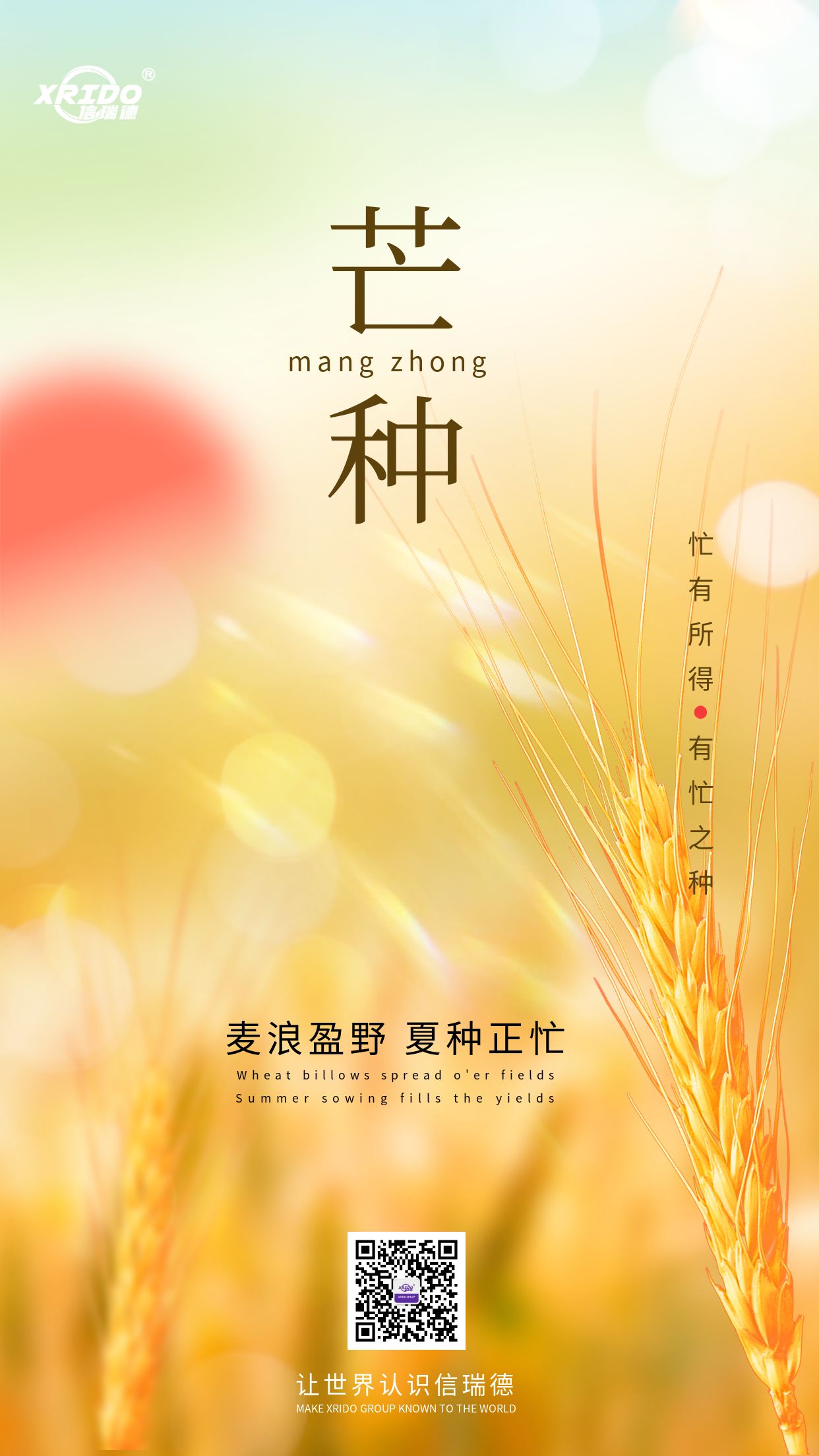 mangzhong.jpg