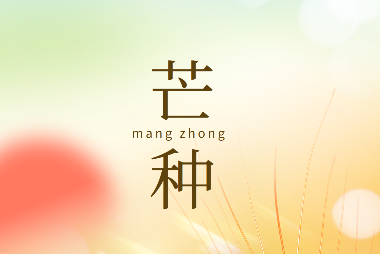 风吹金浪满阡陌，芒种耕耘农事忙