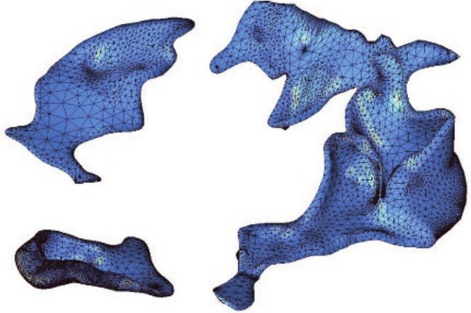 圖3 建模區(qū)域上邊緣相輝綠巖有限元模型Fig. 3 Finite element model of diabase at the upper edge of the modeling area.