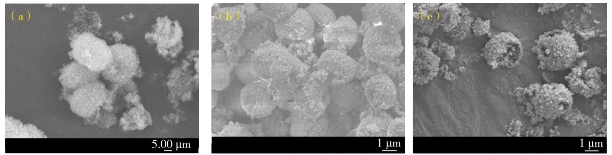 图8 水热时间分别为（a）3 h、（b）6 h和（c）12 h制备的HA-GO的SEM图Fig. 8 SEM images of HA-GO prepared with hydrothermal time of (a) 3 h, (b) 6 h, and (c) 12 h.