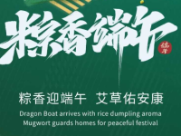 一叶青粽承佳节，信瑞德与君共安康