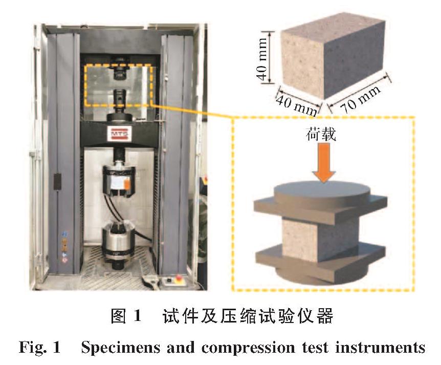 图1 试件及压缩试验仪器<br/>Fig.1 Specimens and compression test instruments