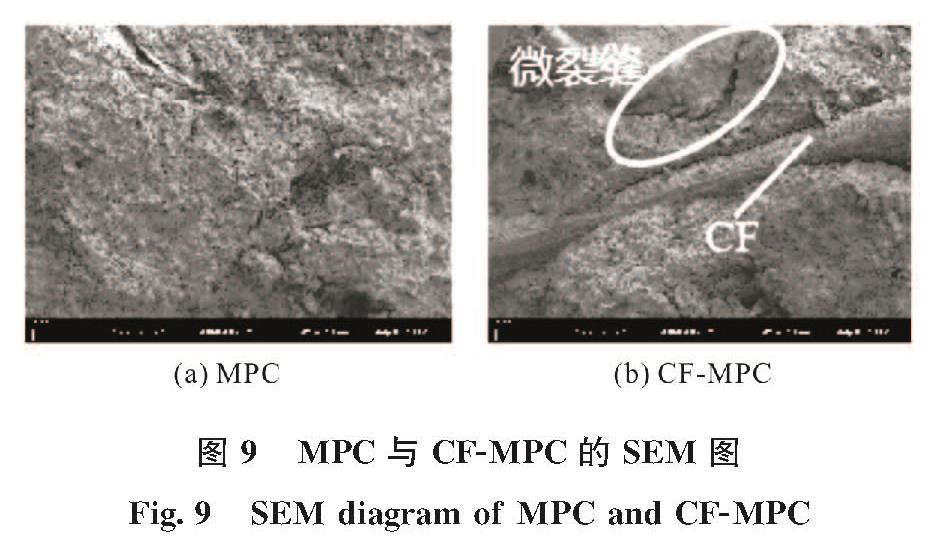 图9 MPC与CF-MPC的SEM图<br/>Fig.9 SEM diagram of MPC and CF-MPC