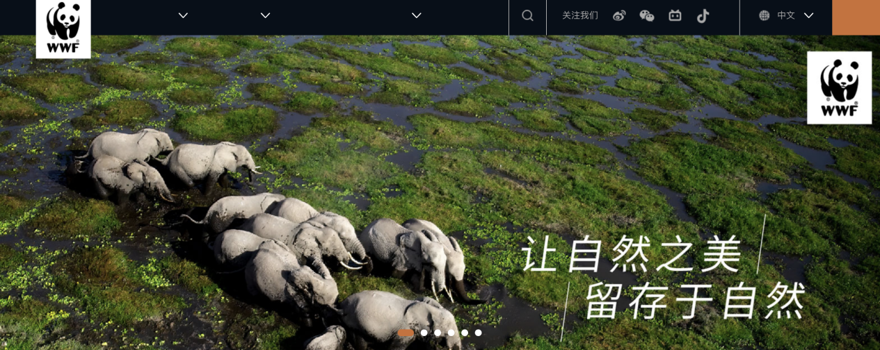 图3.png